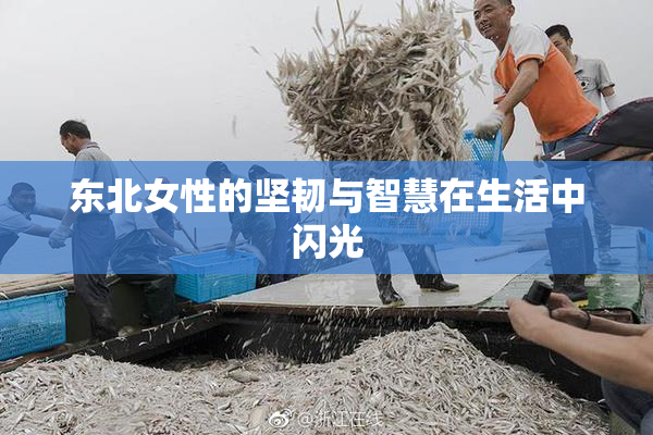 东北女性的坚韧与智慧在生活中闪光