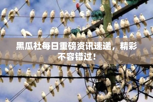 黑瓜社每日重磅资讯速递，精彩不容错过！