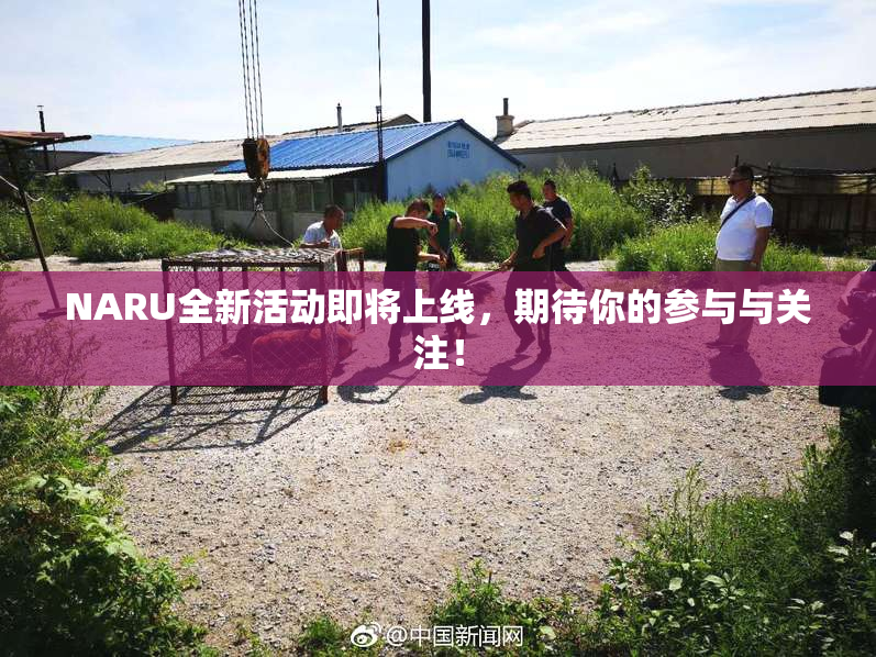 NARU全新活动即将上线，期待你的参与与关注！