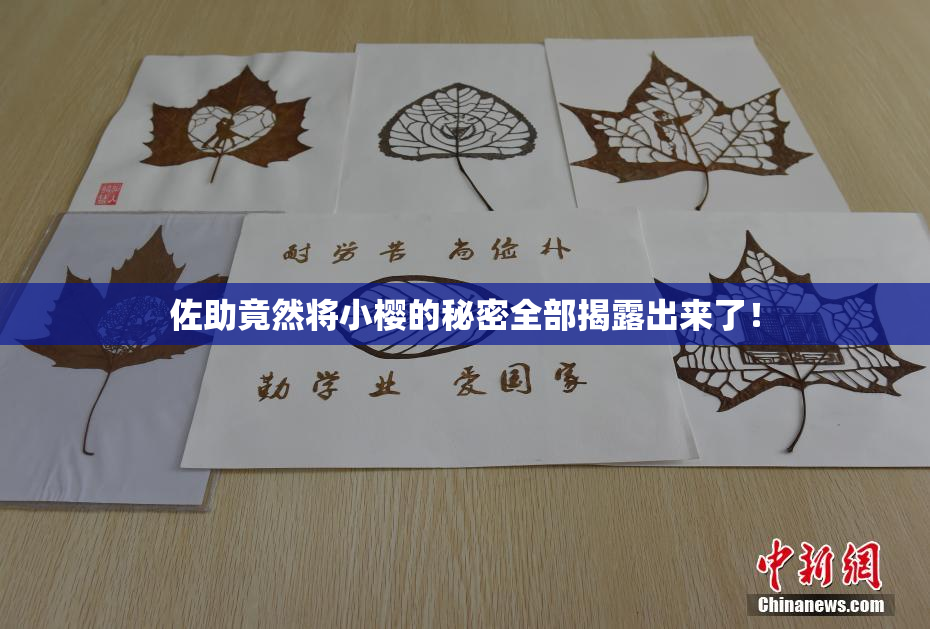 佐助竟然将小樱的秘密全部揭露出来了！