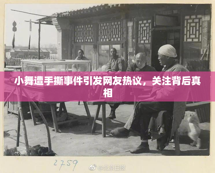 小舞遭手撕事件引发网友热议，关注背后真相