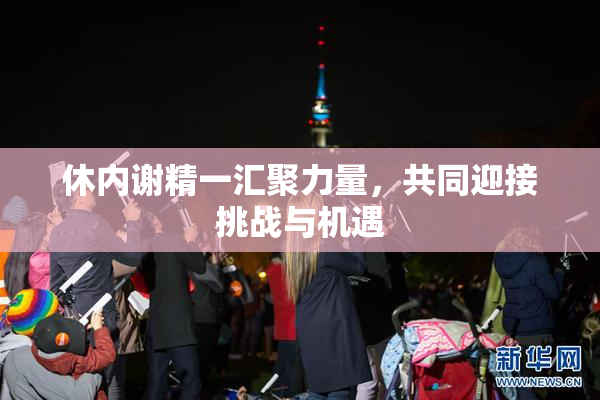 休内谢精一汇聚力量，共同迎接挑战与机遇
