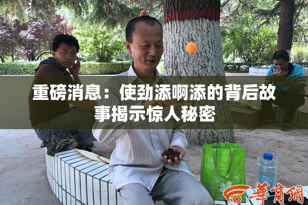 重磅消息：使劲添啊添的背后故事揭示惊人秘密