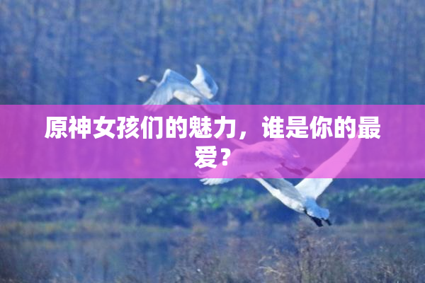 原神女孩们的魅力，谁是你的最爱？