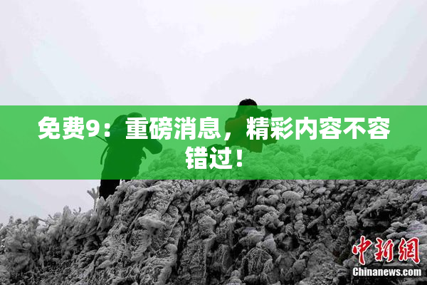 免费9：重磅消息，精彩内容不容错过！