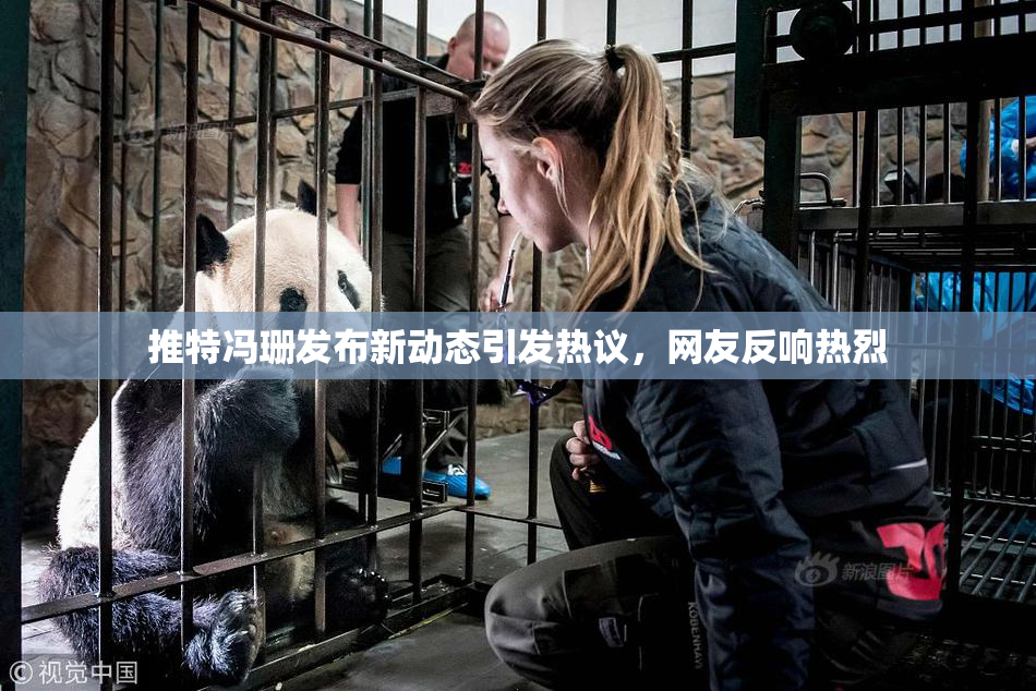 推特冯珊发布新动态引发热议，网友反响热烈