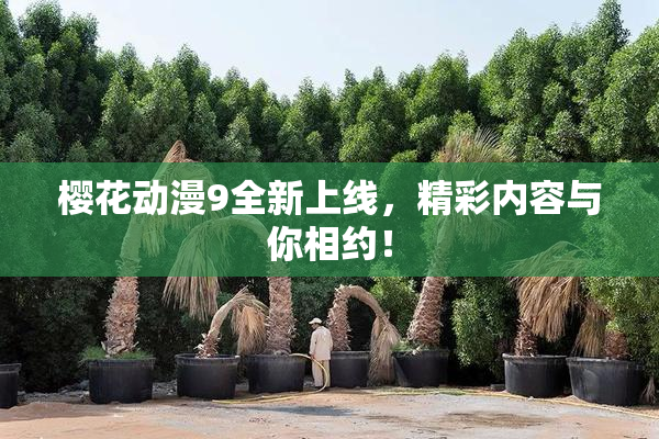 樱花动漫9全新上线，精彩内容与你相约！