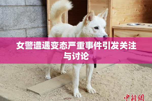 女警遭遇变态严重事件引发关注与讨论