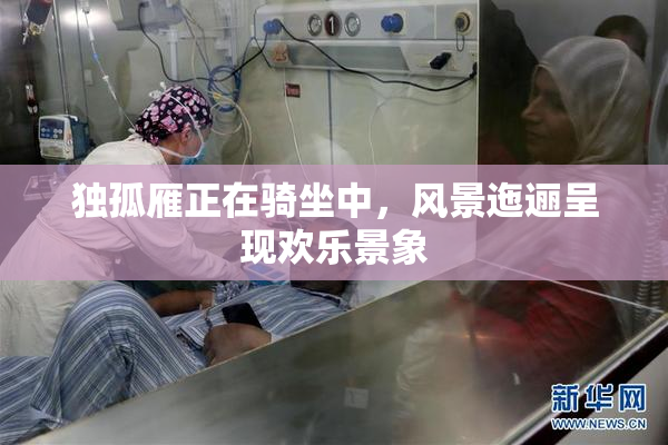 独孤雁正在骑坐中，风景迤逦呈现欢乐景象