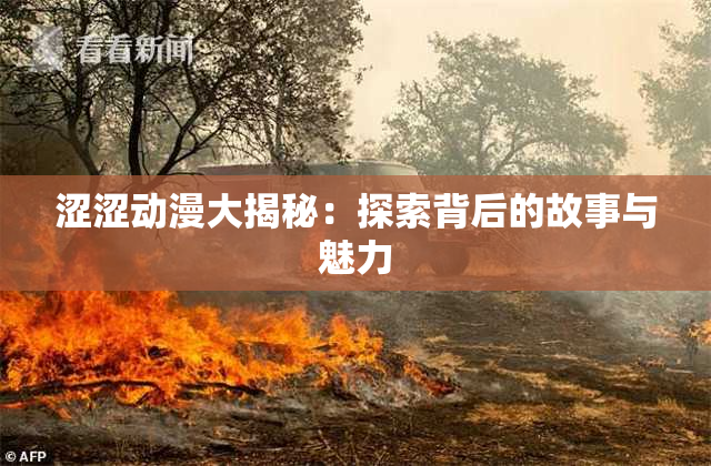 涩涩动漫大揭秘：探索背后的故事与魅力