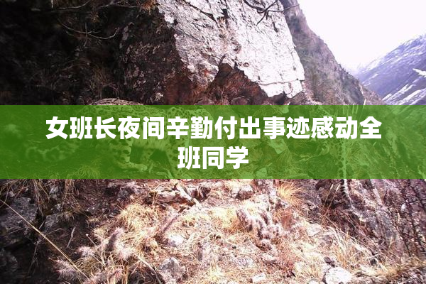 女班长夜间辛勤付出事迹感动全班同学