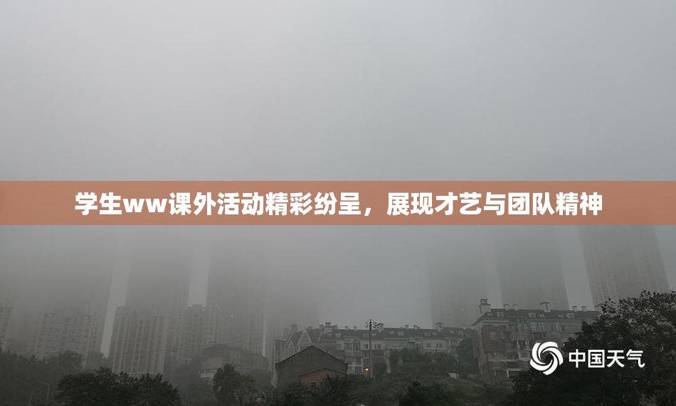 学生ww课外活动精彩纷呈，展现才艺与团队精神