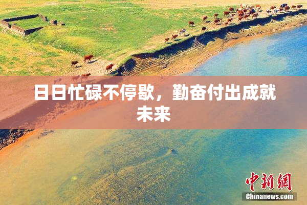 日日忙碌不停歇，勤奋付出成就未来