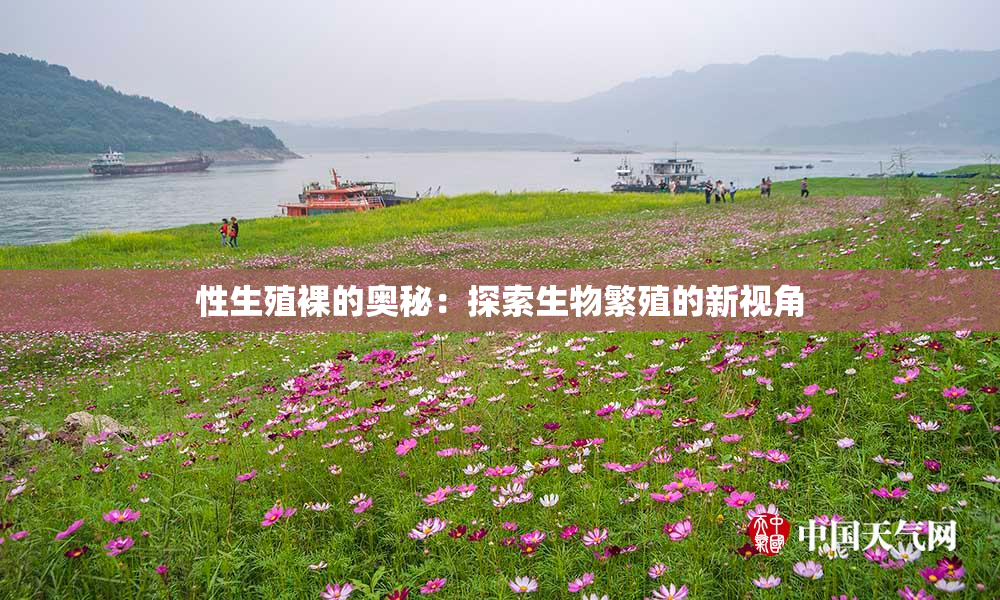 性生殖裸的奥秘：探索生物繁殖的新视角