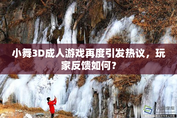 小舞3D成人游戏再度引发热议，玩家反馈如何？