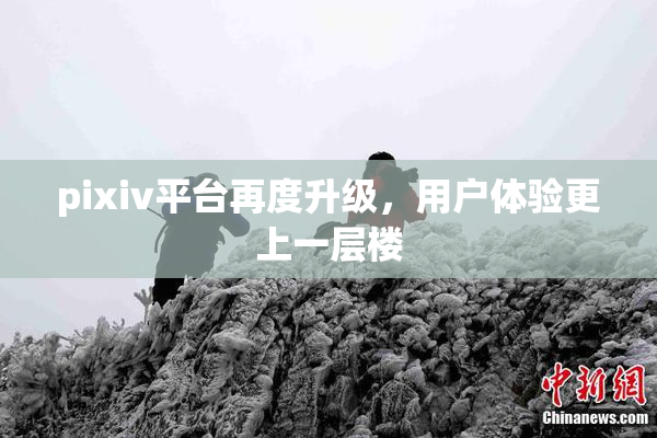 pixiv平台再度升级，用户体验更上一层楼