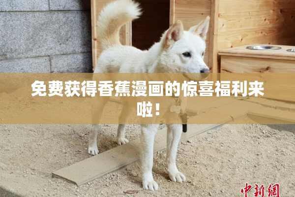 免费获得香蕉漫画的惊喜福利来啦！