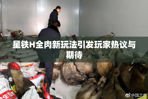 星铁H全肉新玩法引发玩家热议与期待