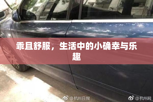 乖且舒服，生活中的小确幸与乐趣