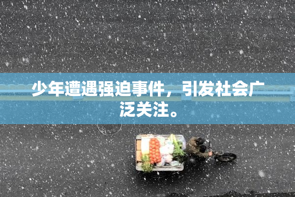 少年遭遇强迫事件，引发社会广泛关注。