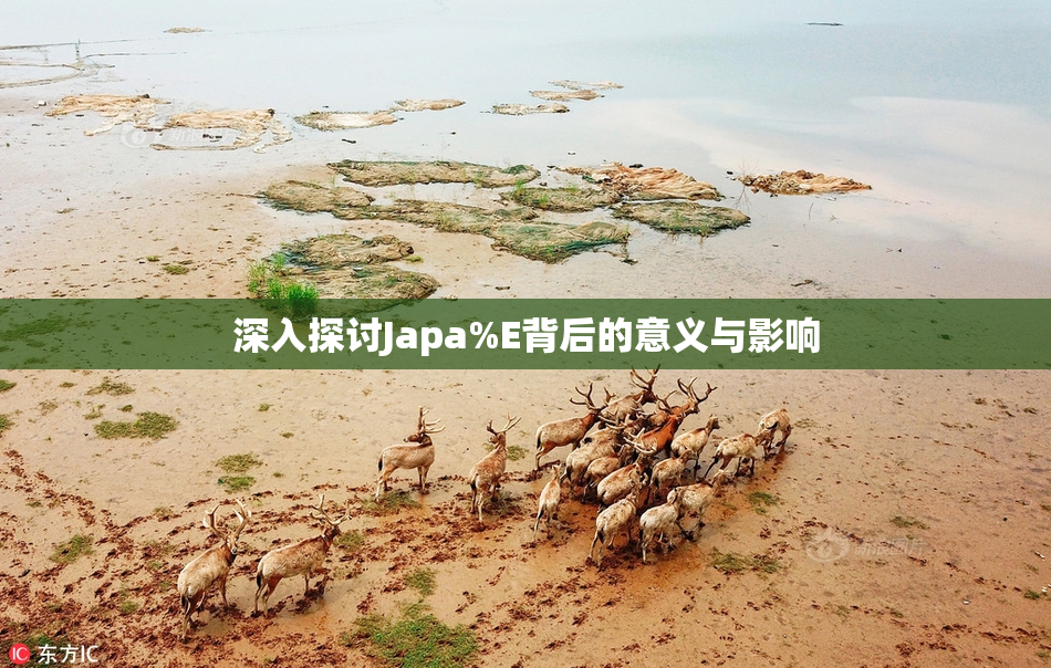 深入探讨Japa%E背后的意义与影响