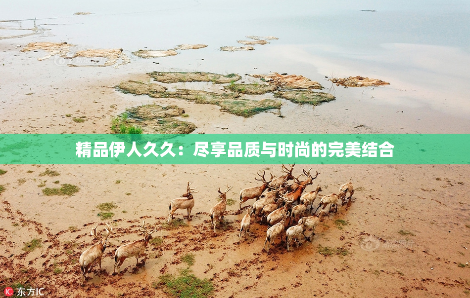 精品伊人久久：尽享品质与时尚的完美结合