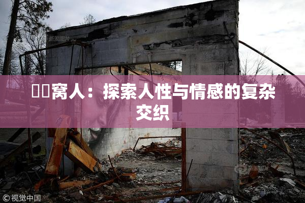妺妺窝人：探索人性与情感的复杂交织