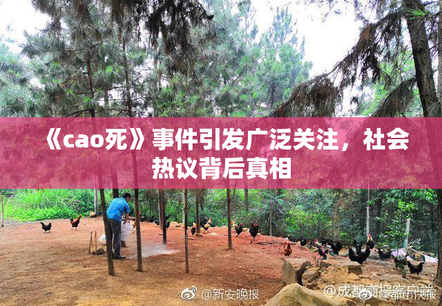 《cao死》事件引发广泛关注，社会热议背后真相