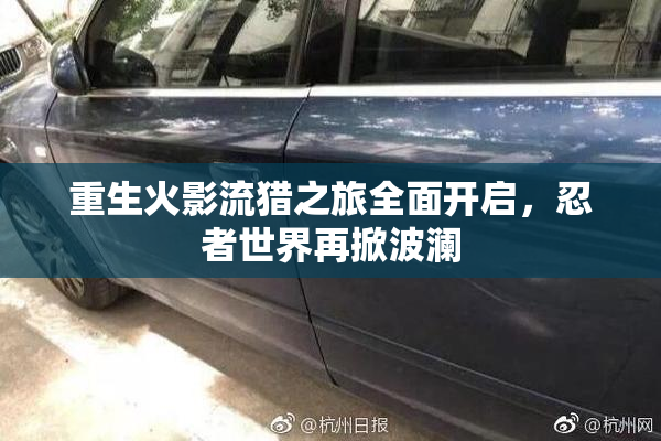 重生火影流猎之旅全面开启，忍者世界再掀波澜