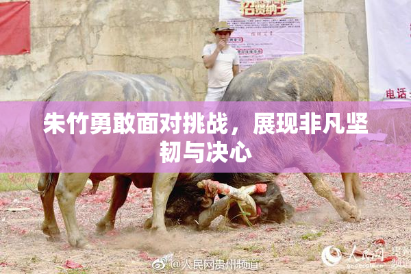 朱竹勇敢面对挑战，展现非凡坚韧与决心