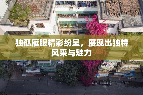 独孤雁眼精彩纷呈，展现出独特风采与魅力