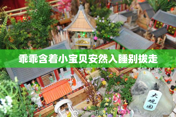 乖乖含着小宝贝安然入睡别拔走