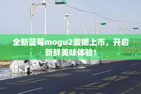 全新蓝莓mogu2震撼上市，开启新鲜美味体验！