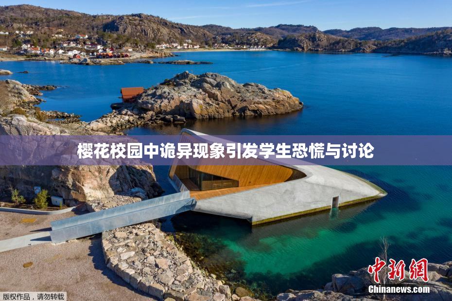樱花校园中诡异现象引发学生恐慌与讨论