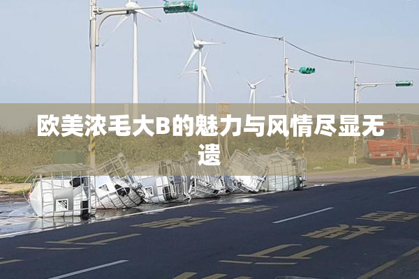 欧美浓毛大B的魅力与风情尽显无遗