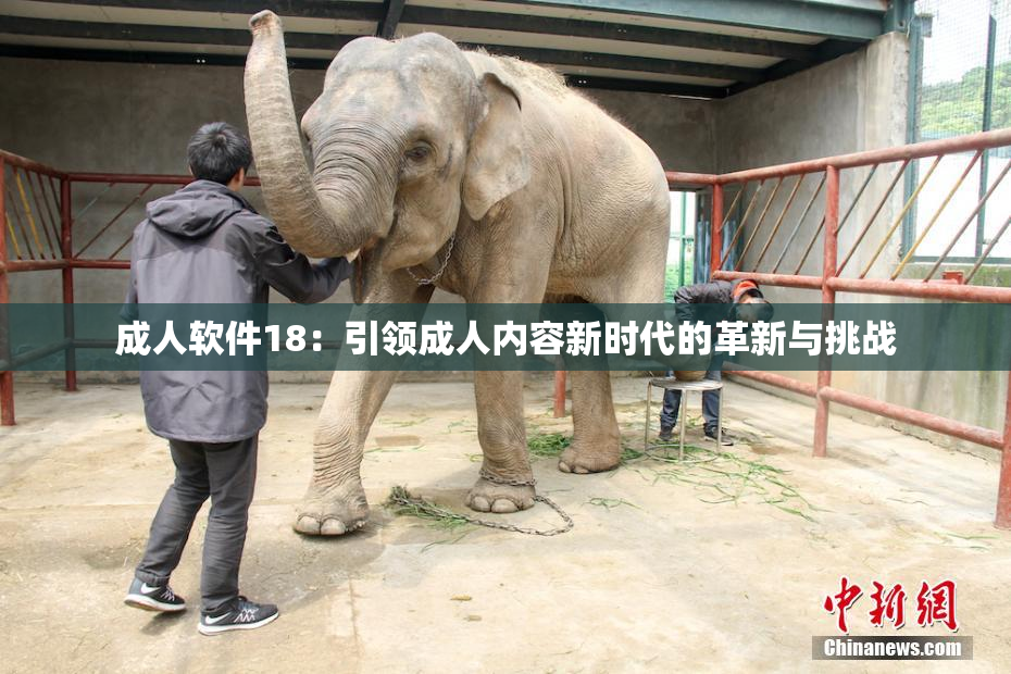成人软件18：引领成人内容新时代的革新与挑战