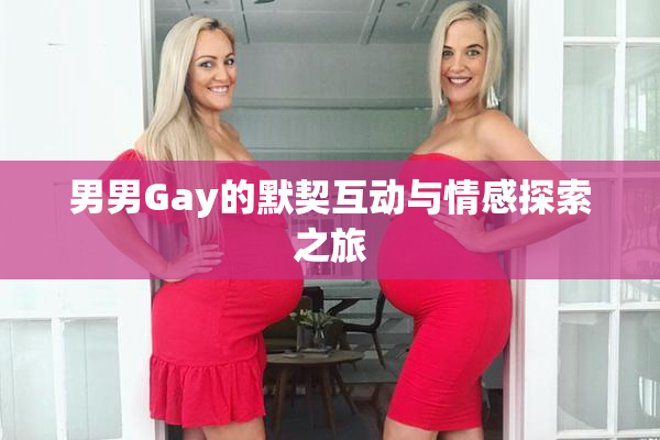 男男Gay的默契互动与情感探索之旅