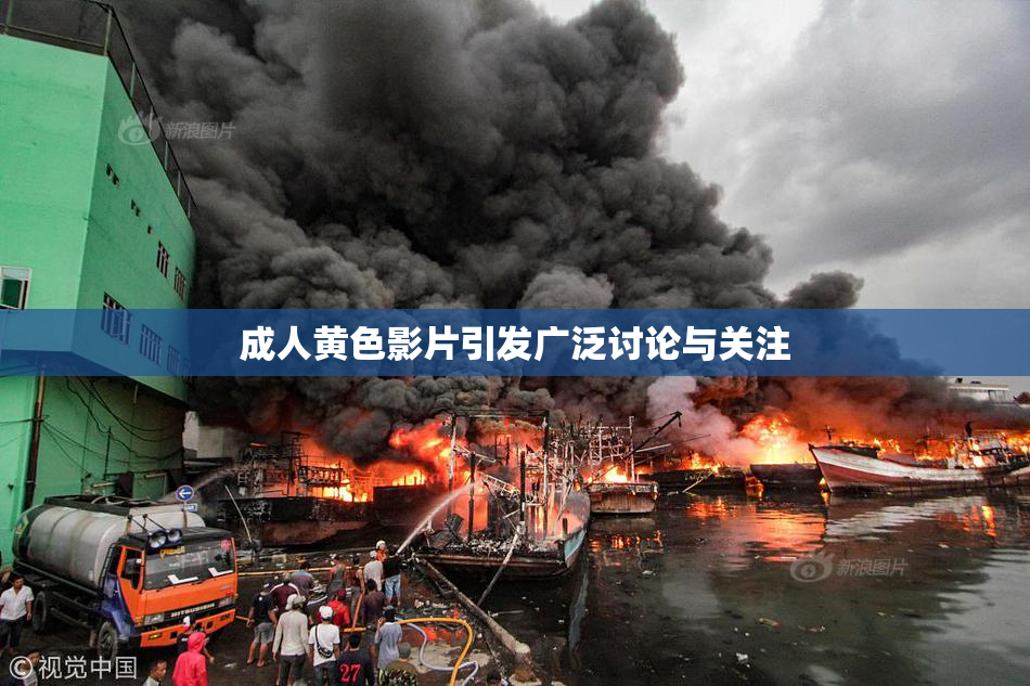 成人黄色影片引发广泛讨论与关注