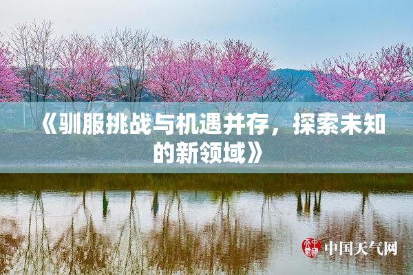 《驯服挑战与机遇并存，探索未知的新领域》