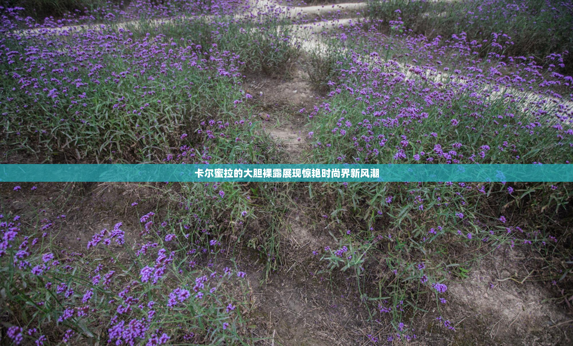 卡尔蜜拉的大胆裸露展现惊艳时尚界新风潮