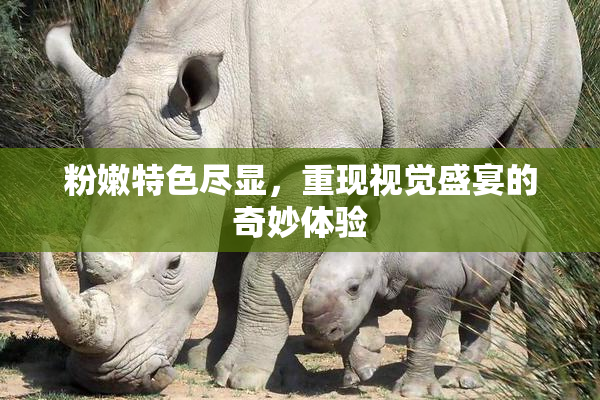 粉嫩特色尽显，重现视觉盛宴的奇妙体验