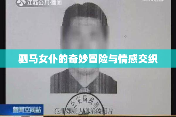 驷马女仆的奇妙冒险与情感交织