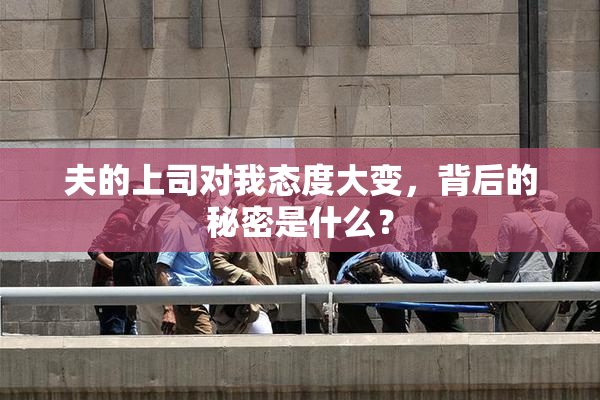 夫的上司对我态度大变，背后的秘密是什么？