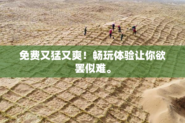 免费又猛又爽！畅玩体验让你欲罢似难。