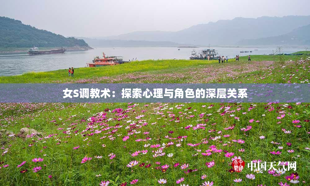 女S调教术：探索心理与角色的深层关系