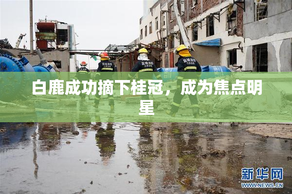 白鹿成功摘下桂冠，成为焦点明星