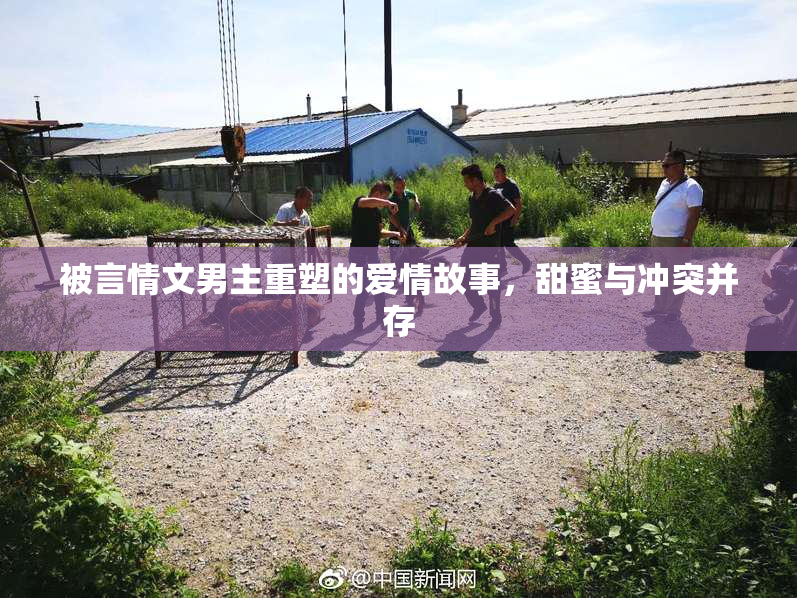 被言情文男主重塑的爱情故事，甜蜜与冲突并存