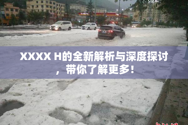 XXXX H的全新解析与深度探讨，带你了解更多！