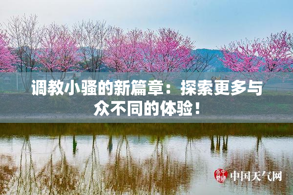 调教小骚的新篇章：探索更多与众不同的体验！
