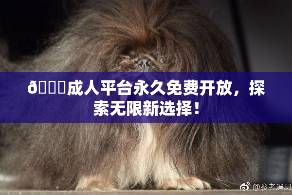 🔞成人平台永久免费开放，探索无限新选择！
